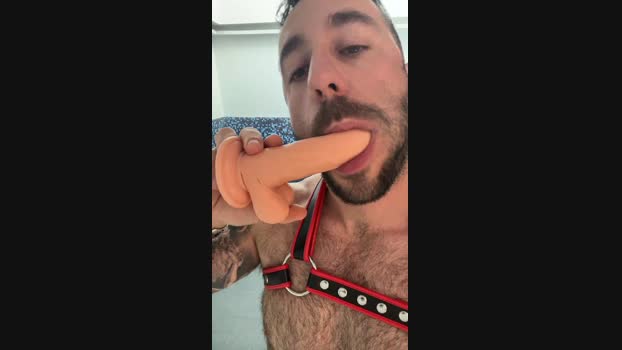 Revoltosa29 Cam4 14-03-2024 Males