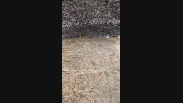 publicexib1 Cam4 14-03-2024 Males