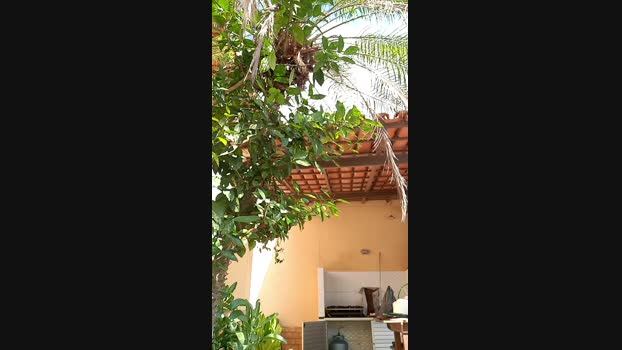 recoblue22cm Cam4 14-03-2024 Males