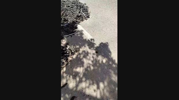avalarf Cam4 18-03-2024 Males