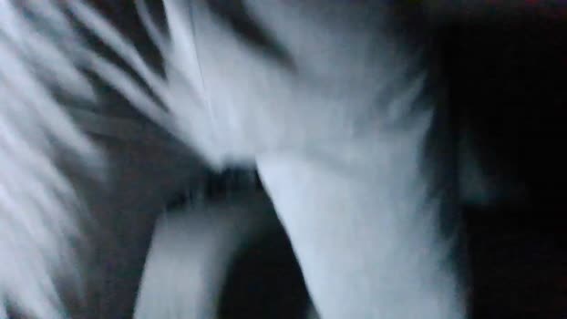 giovan2020 Cam4 18-03-2024 Males