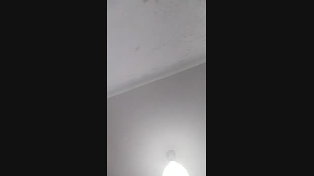 roomchimbo Cam4 17-03-2024 Males
