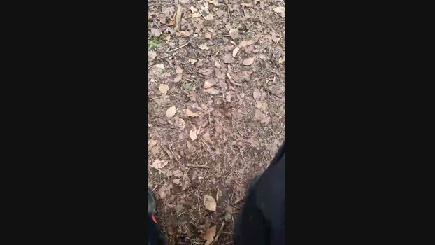 Outdoorgeil1 Cam4 18-03-2024 Males