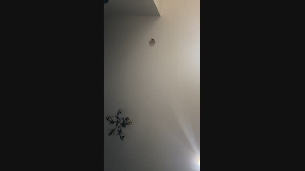 Mario84Luci Cam4 21-03-2024 Males