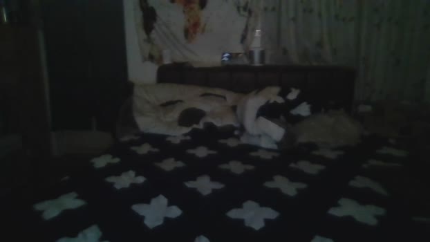 kktung Cam4 27-03-2024 Males