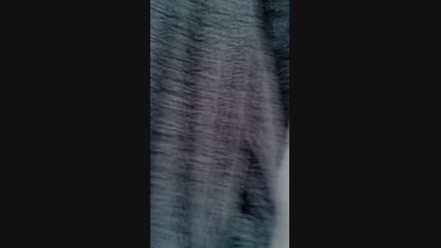 HornyPornyGuy Cam4 29-03-2024 Males