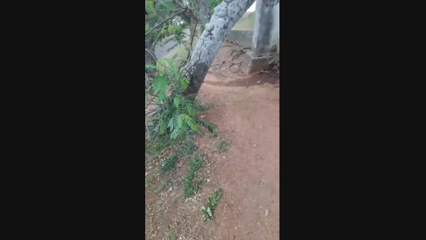 grandeygruesa1 Cam4 31-03-2024 Males