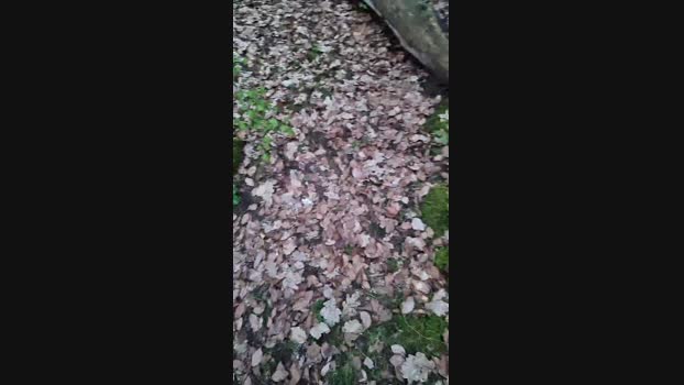 Outdoorgeil1 Cam4 31-03-2024 Males