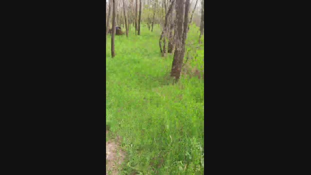 faraon47 Cam4 01-04-2024 Males