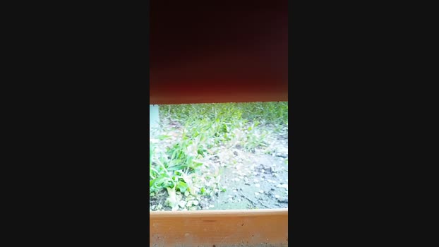 pitorry_hot4 Cam4 01-04-2024 Males