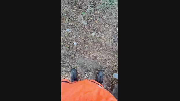 brayanchileno Cam4 05-04-2024 Males