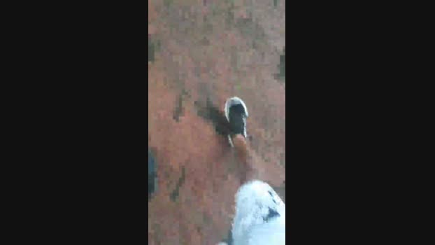 grandeygruesa1 Cam4 06-04-2024 Males