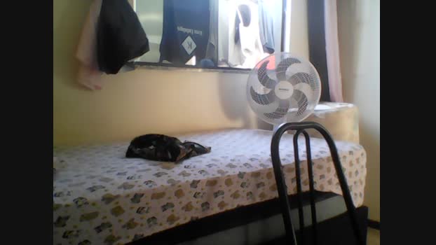 homemtravesso Cam4 07-04-2024 Males