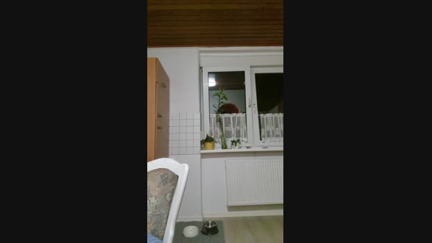 Doperman Cam4 11-04-2024 Males