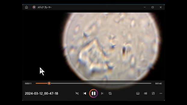 ichigojam1 Cam4 11-04-2024 Males