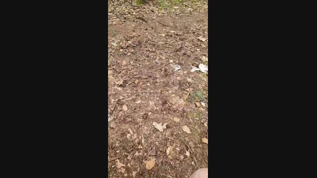 Outdoorgeil1 Cam4 12-04-2024 Males