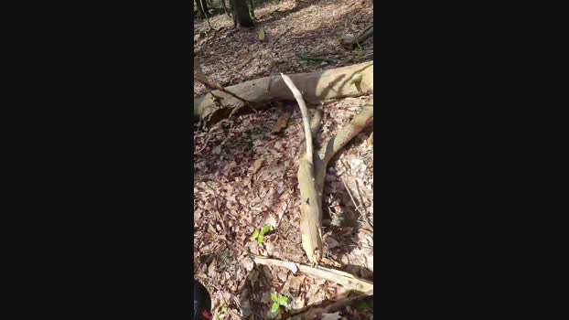 Outdoorgeil1 Cam4 12-04-2024 Males