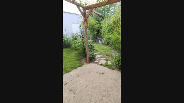 tomsauwer Cam4 18-04-2024 Males