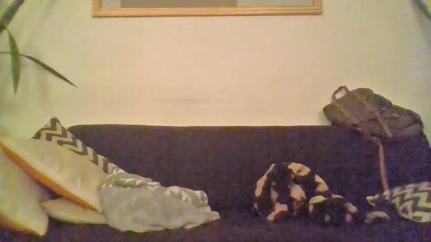 Felipe0026 Cam4 19-04-2024 Males