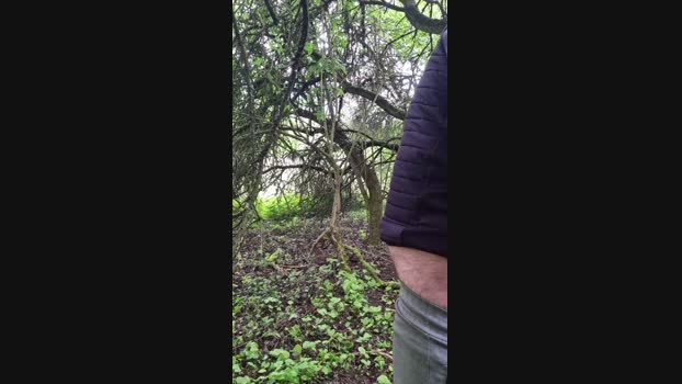 Doperman Cam4 24-04-2024 Males