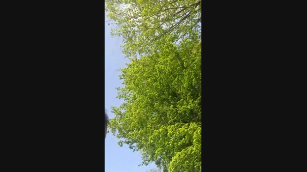 Doperman Cam4 29-04-2024 Males