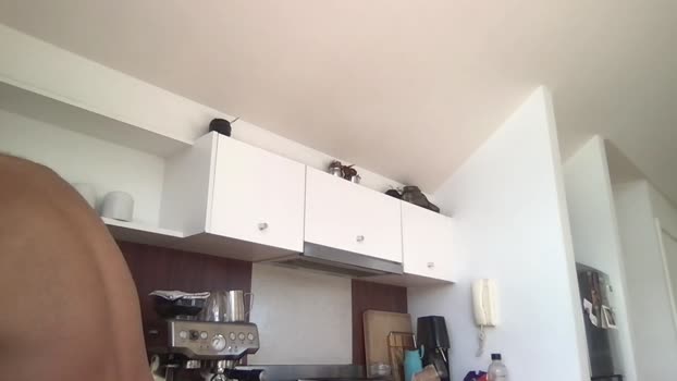 mansaf686 Cam4 01-05-2024 Males