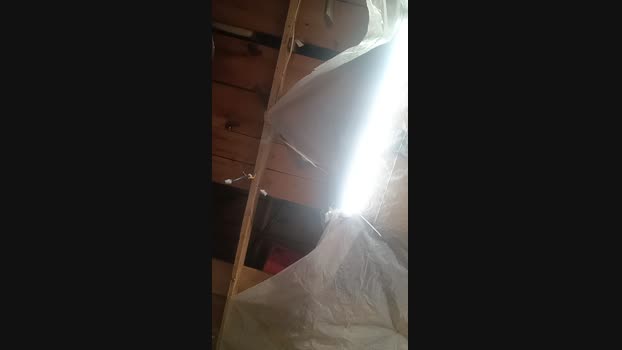 thompson3 Cam4 03-05-2024 Males