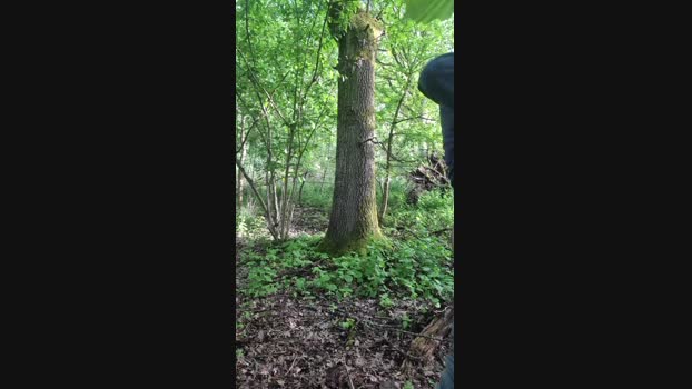 Doperman Cam4 03-05-2024 Males