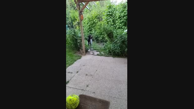 tomsauwer Cam4 04-05-2024 Males