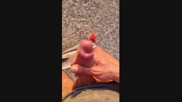 stipe Cam4 06-05-2024 Males
