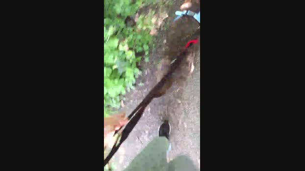 Hairlessoldman Cam4 09-05-2024 Males
