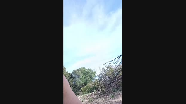 pitorry_hot4 Cam4 09-05-2024 Males