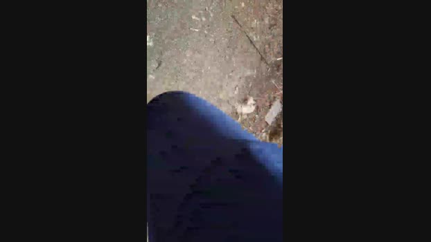 Top_man Cam4 10-05-2024 Males