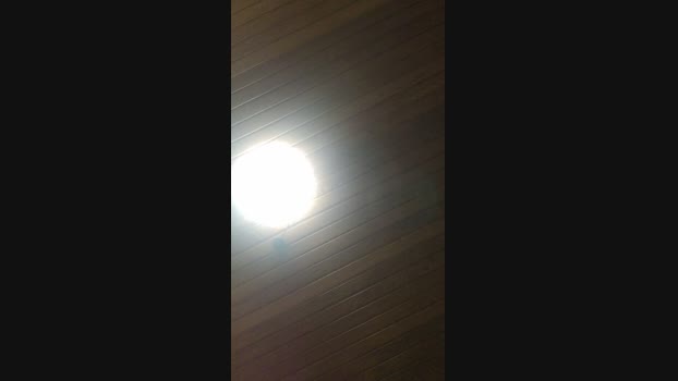 Doperman Cam4 11-05-2024 Males