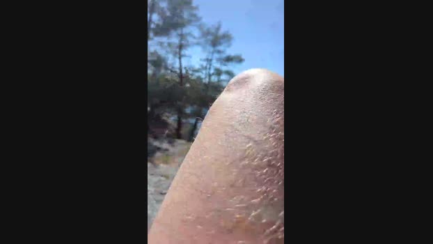 fuje Cam4 11-05-2024 Males
