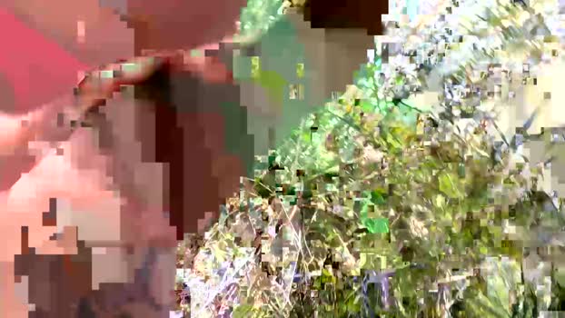 Danyblack1985 Cam4 14-05-2024 Males