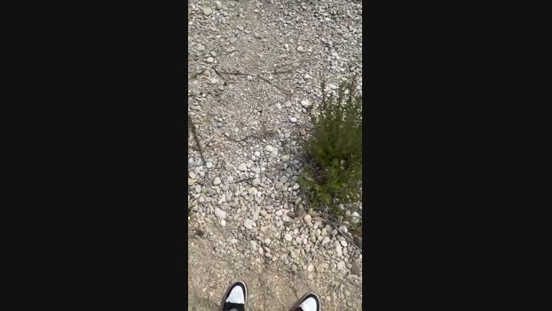 Danyblack1985 Cam4 16-05-2024 Males