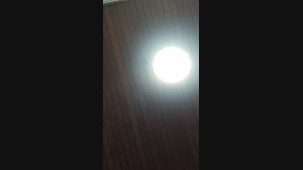 Doperman Cam4 15-05-2024 Males