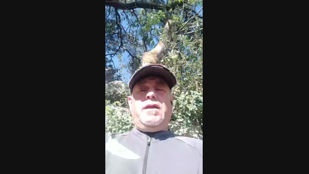 rafi45 Cam4 15-05-2024 Males
