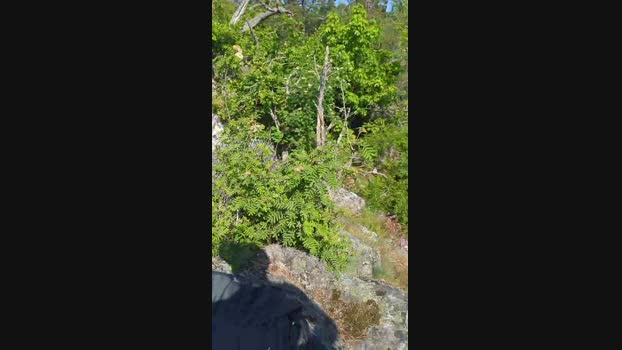fuje Cam4 25-05-2024 Males