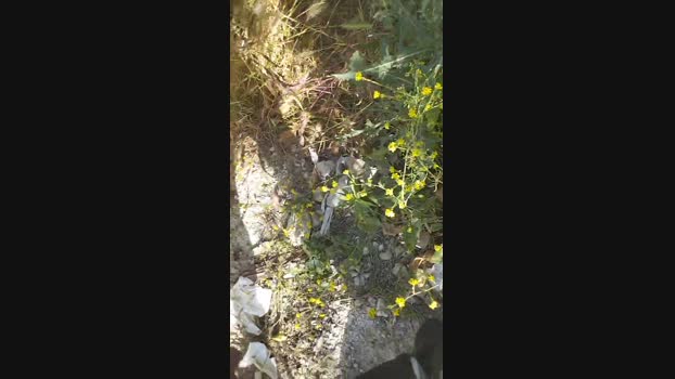 Bigdickforyouu Cam4 26-05-2024 Males