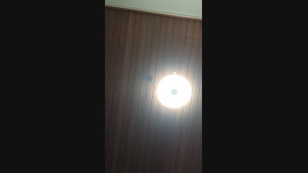 Doperman Cam4 26-05-2024 Males