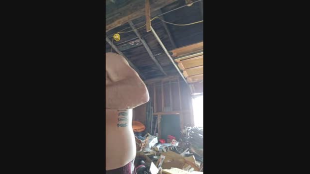4_Fox_sakes Cam4 01-06-2024 Males