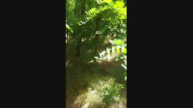 faraon47 Cam4 02-06-2024 Males