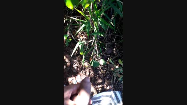 recoblue22cm Cam4 02-06-2024 Males