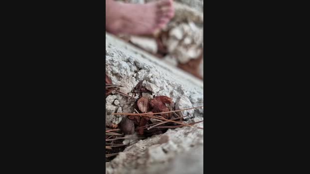 stipe Cam4 02-06-2024 Males