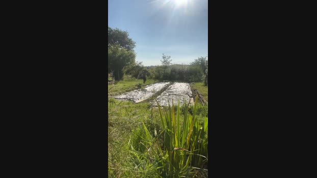 HotFarmerFrench Cam4 05-06-2024 Males