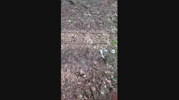 Outdoorgeil1 Cam4 04-06-2024 Males