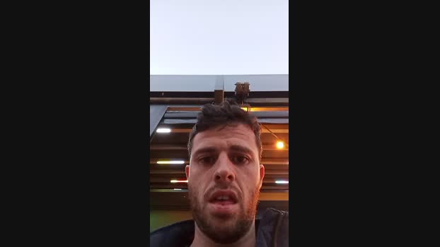 pocholo30 Cam4 05-06-2024 Males