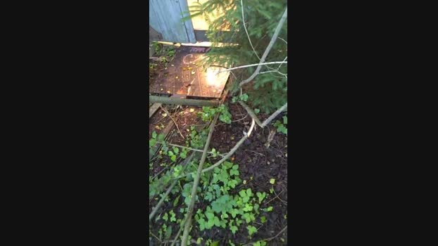 publicexib1 Cam4 06-06-2024 Males